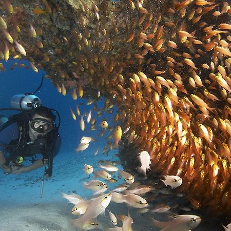 Zawadi Hotel, Zanzibar Michamvi Zewnętrze zdjęcie