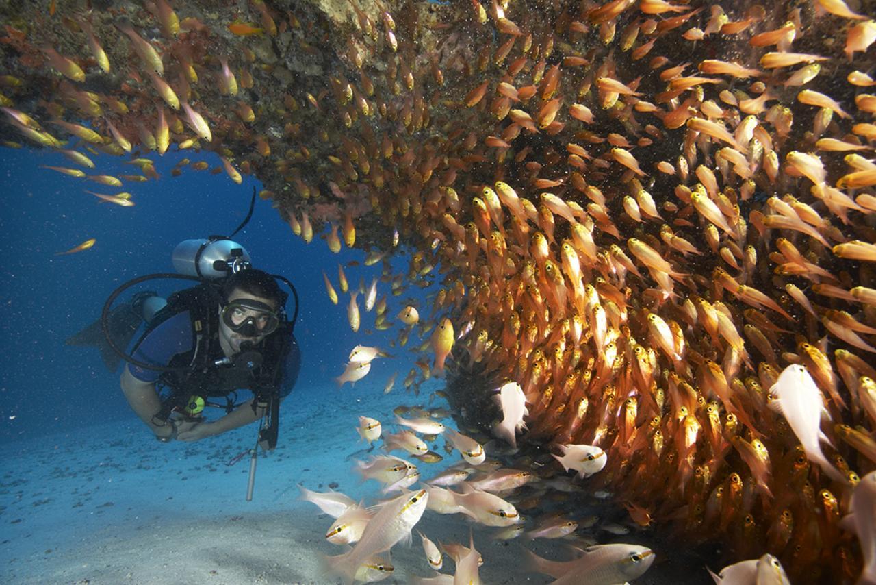 Zawadi Hotel, Zanzibar Michamvi Zewnętrze zdjęcie