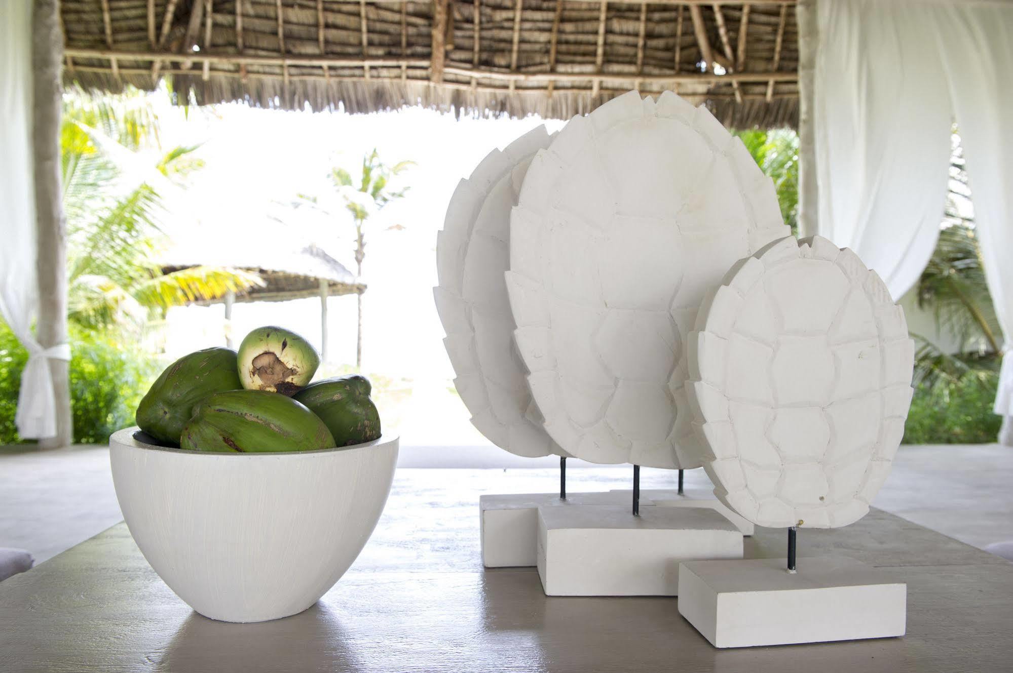 Zawadi Hotel, Zanzibar Michamvi Zewnętrze zdjęcie